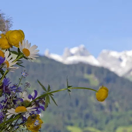Montjola * Schruns