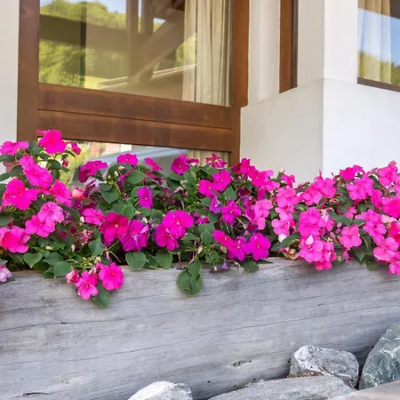 Appartement Montjola Schruns