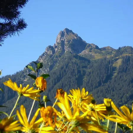 Montjola Appartement