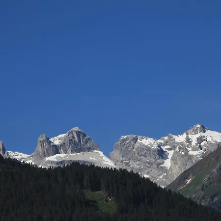 Montjola Шрунс