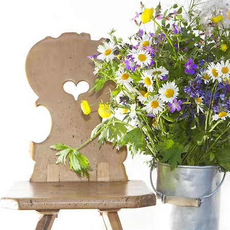 Appartement Montjola *